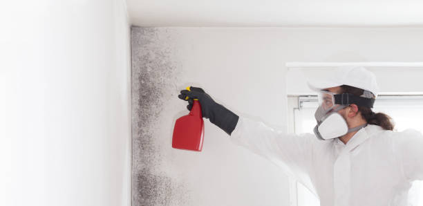 Best Industrial Mold Remediation in Barstow, CA