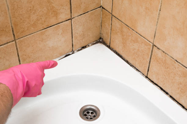 Best Residential Mold Remediation in Barstow, CA